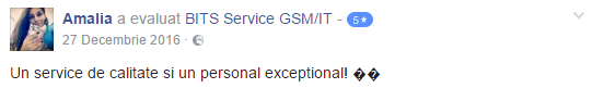 bits service gsm